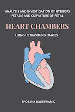 Analysis and Investigation of Hydrops Fetalis and Curvature of Fetal Heart Chambers Using Ultrasound Images 