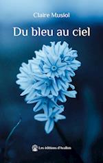 Du bleu au ciel