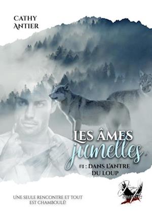 Les âmes jumelles - Tome 1