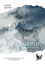 Les âmes jumelles - Tome 1