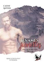 Les âmes jumelles - Tome 3