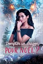 Dompter un Dragon pour Noël !