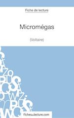 Micromégas de Voltaire (Fiche de lecture)