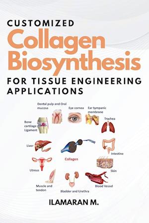 Customized Collagen Biosynthesis for Tissue Engineering Applications