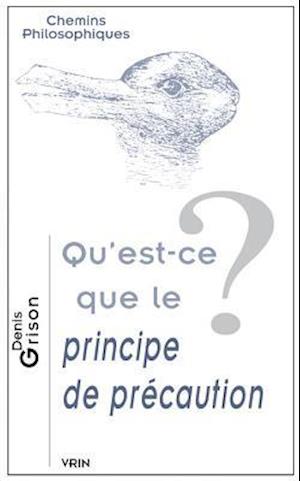 Qu'est-Ce Que Le Principe de Precaution?