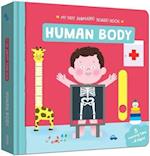 Human Body