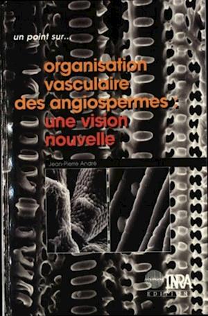 Organisation vasculaire des angiospermes : une vision nouvelle