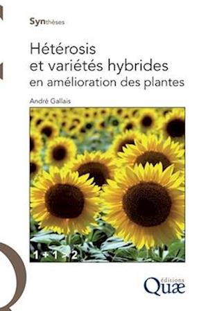 Hétérosis et variétés hybrides