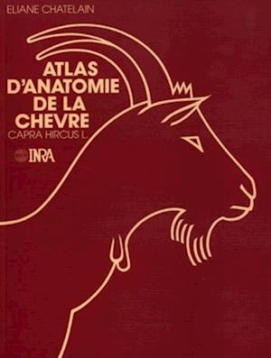 Atlas d''anatomie de la chèvre (Capra hircus L.)