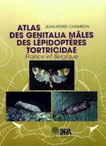 Atlas des genitalia mâles des Lépidoptères Tortricidae de France et Belgique