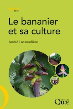 Le bananier et sa culture