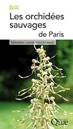 Les orchidées sauvages de Paris