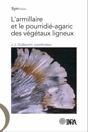 L''armillaire et le pourridié-agaric des végétaux ligneux