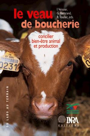 Le veau de boucherie