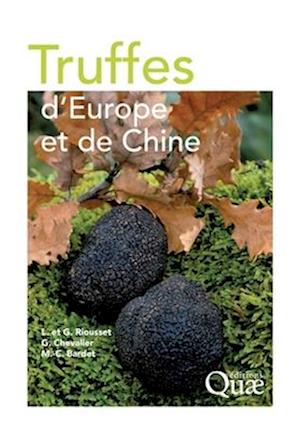 Truffes d'Europe et de Chine