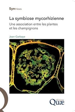 La symbiose mycorhizienne