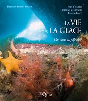 La vie sous la glace