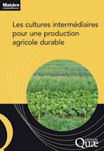 Les cultures intermédiaires pour une production agricole durable