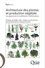 Architecture des plantes et production végétale