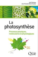 La photosynthèse