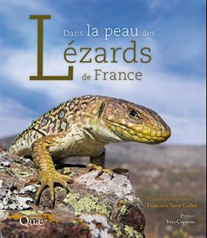 Dans la peau des lézards de France