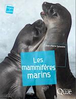 Les mammifères marins