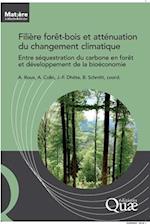 Filière forêt-bois et atténuation du changement climatique