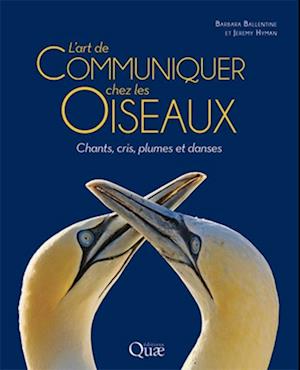 L''art de communiquer chez les oiseaux