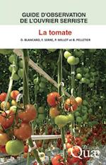 Guide d''observation de l''ouvrier serriste : la tomate