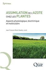 Assimilation de l'azote chez les plantes