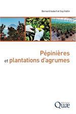 Pépinières et plantations d'agrumes