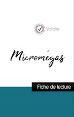 Micromégas de Voltaire (fiche de lecture et analyse complète de l'oeuvre)