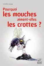 Pourquoi les mouches aiment-elles les crottes ?