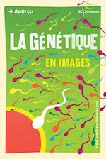 La genetique en images