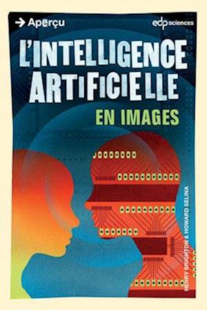L''intelligence Artificielle en images