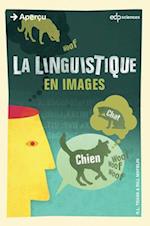 La linguistique en images