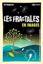 Les fractales en images