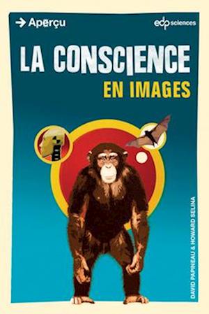 La conscience en images