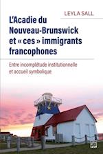L’Acadie du Nouveau-Brunswick et « ces » immigrants francophones. Entre incomplétude institutionnelle et accueil symbolique