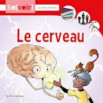 Le Cerveau