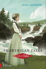 Shawinigan Falls