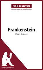 Frankenstein de Mary Shelley (Analyse de l''oeuvre)