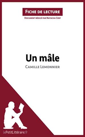 Un mâle de Camille Lemonnier (Fiche de lecture)