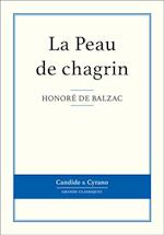 La Peau de chagrin