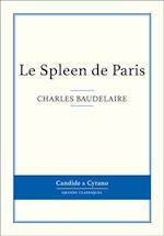 Le Spleen de Paris