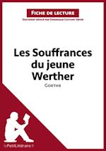 Les Souffrances du jeune Werther de Goethe (Analyse de l''œuvre)