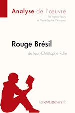 Rouge Brésil de Jean-Christophe Rufin (Analyse de l'oeuvre)