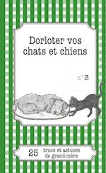 Dorloter vos chats et chiens