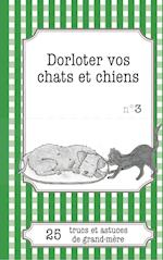 Dorloter vos chats et chiens