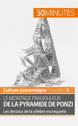 Le montage frauduleux de la pyramide de Ponzi